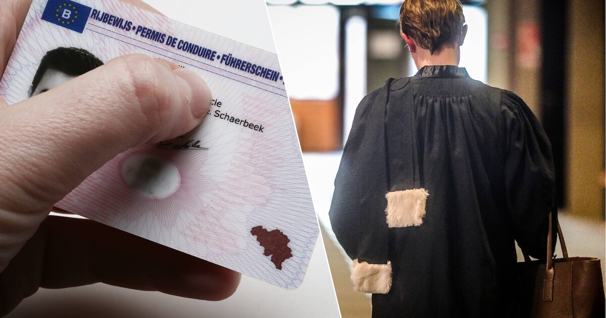 “Niet geleerd uit je vorige fouten”: politierechter verklaart dertiger rijongeschikt na duik in weid