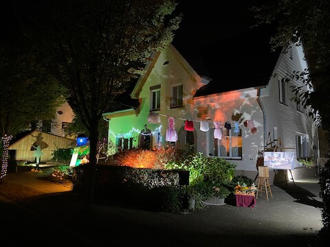 De bewoners van de Predikherenvelden in Reet haalden voor de 68ste Lichtfeesten hun meest artistieke kant boven.