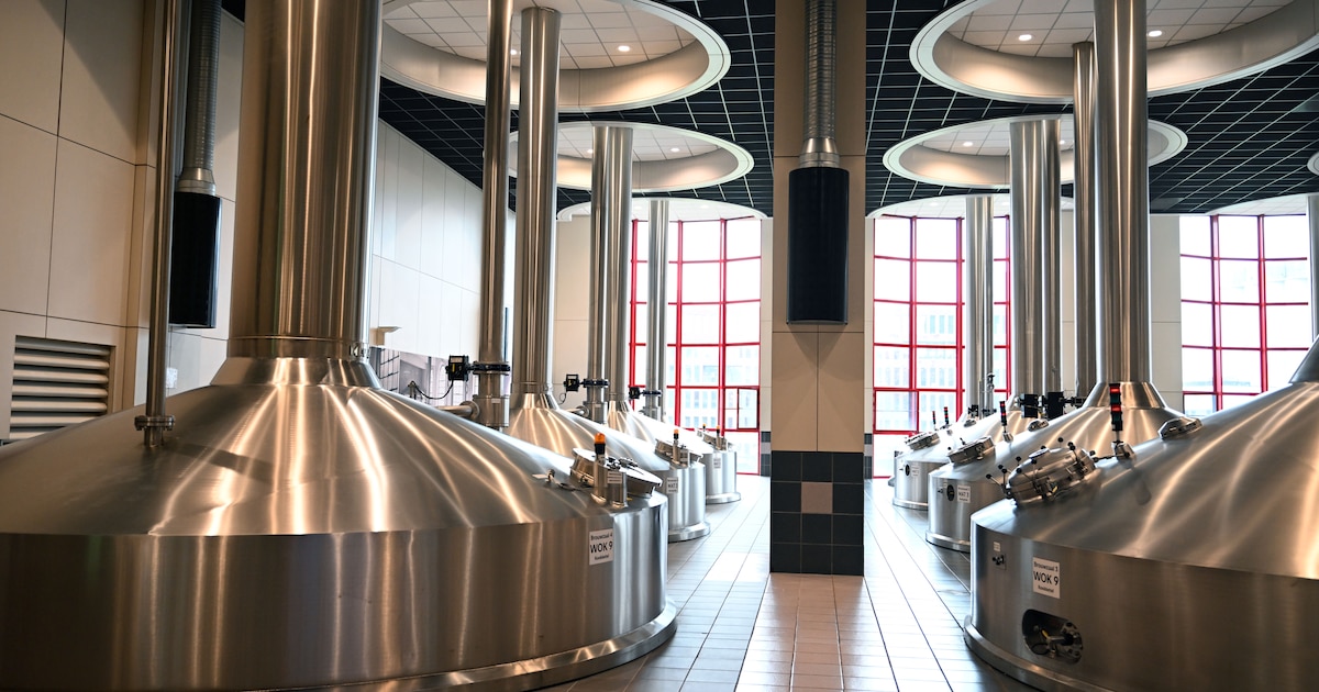 AB InBev verfrist de biermarkt met Jupiler Apple en Flying Fish ...