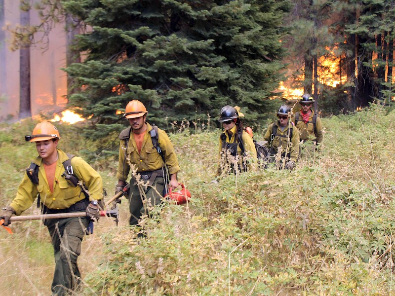 Meer dan een kwart van de schade is te betreuren in het Yosemite Park, dat jaarlijks door miljoenen mensen wordt bezocht.
