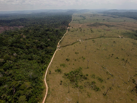 Natuurgebied bij het Braziliaanse Novo Progresso.