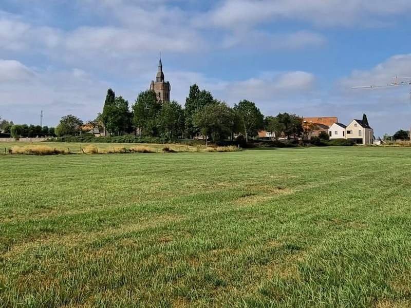 Het gebied in Roesbrugge dat wordt omgebouwd tot een een groenzone. 