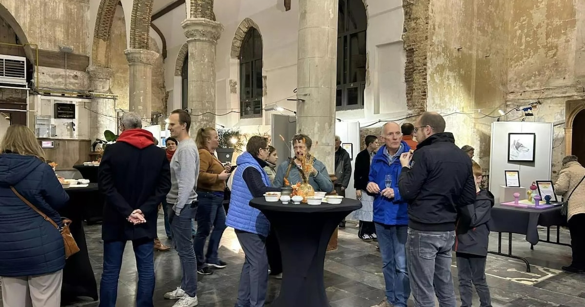 Vierde editie van JoKuS zoekt jonge kunstenaars rond thema humor ...