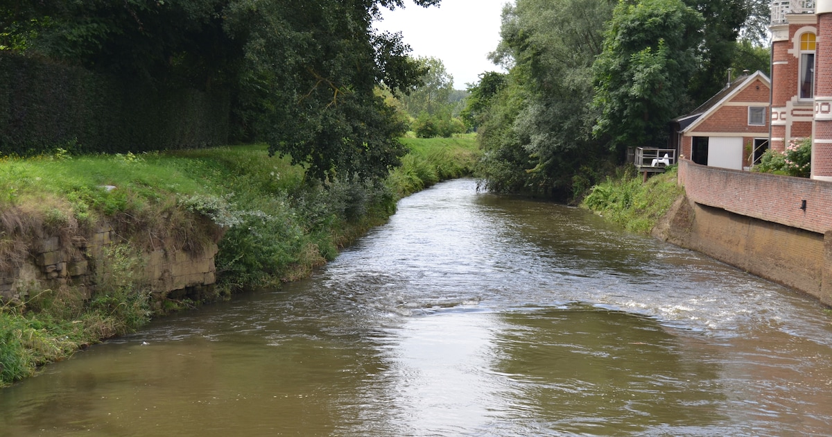 Demer is weer in trek bij vissers dankzij verbeterde waterkwaliteit ...