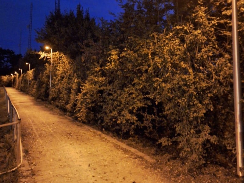 Zonhoven opent verlichte loop- en wandellus op Halveweg: “Nu kan je hier het hele jaar door sporten”