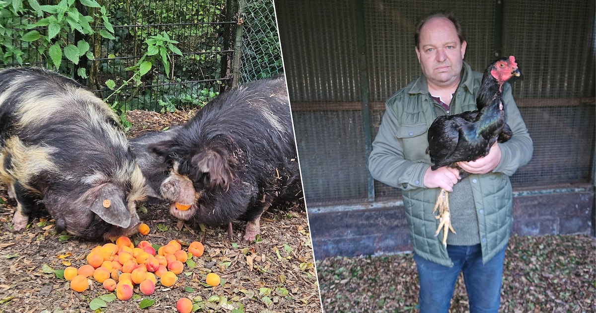 Opvangcentrum in Heusden-Zolder nam vorig jaar 1.922 dieren in beslag: “Mensen kijken niet meer weg”