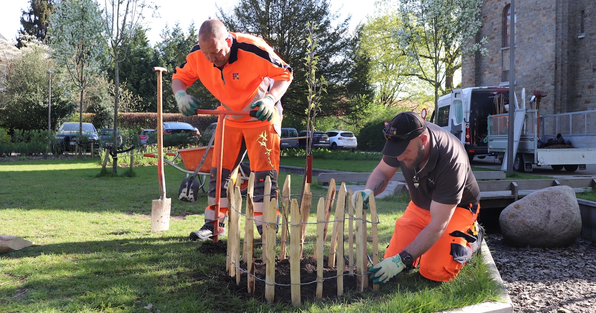 Nieuwpoort zoekt teamverantwoordelijke voor de groendienst