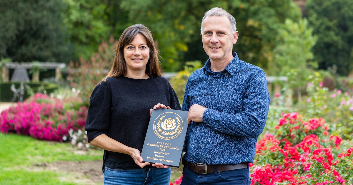 Rozentuin Rivierenhof krijgt internationale onderscheiding: “Duurzaamheid en schoonheid kunnen perfe