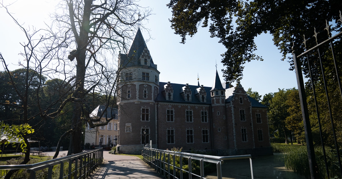 Boekenmarkt in Kasteel De Renesse op 26 juli: snuisteren tussen 65 tafels vol tweedehandsboeken