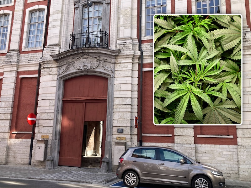 Woning verhuurd aan ‘keurige mensen’, tot politie plots voor de deur staat in Tervuren: “Die cannabisplantages beginnen stilaan een plaag te worden”