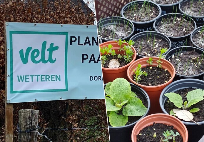VELT organiseert eco-markt en plantenruilbeurs | Wetteren | hln.be