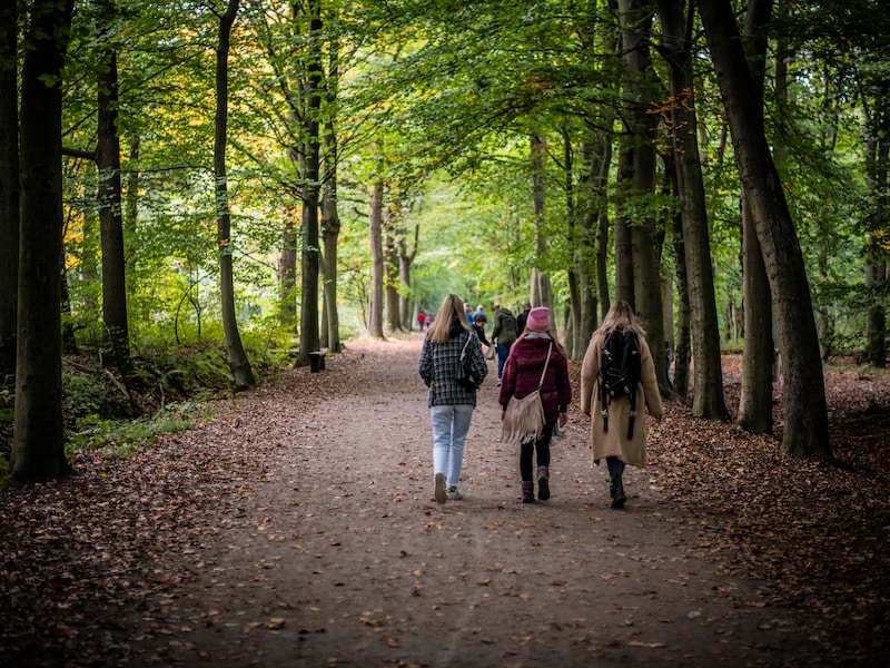 Wie graag beweegt in de frisse buitenlucht kan op 11 november deelnemen aan de Wandel-Mee-Dag in Spiere-Helkijn. (illustratiebeeld)