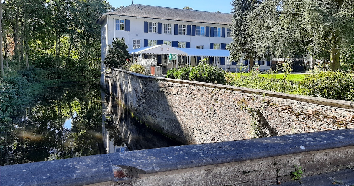 Eerste Wiskunstfestival strijkt deze zondag neer in Hof Zevenbergen in Ranst