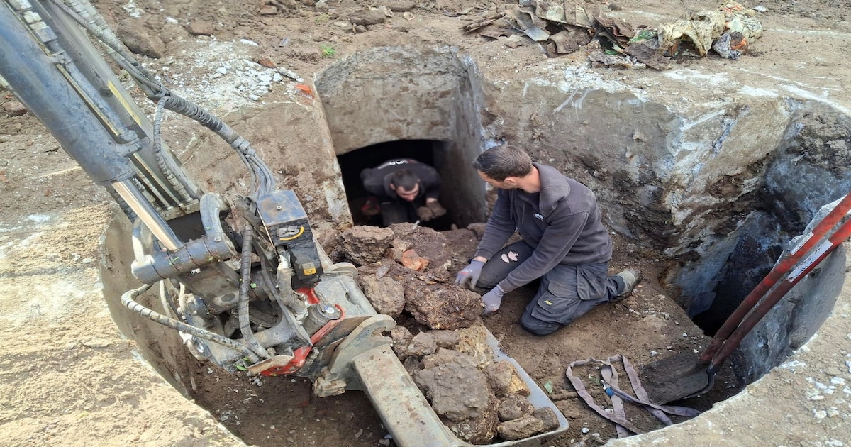 Geschutskoepel Fort van Bornem hersteld ten behoeve van vleermuizen