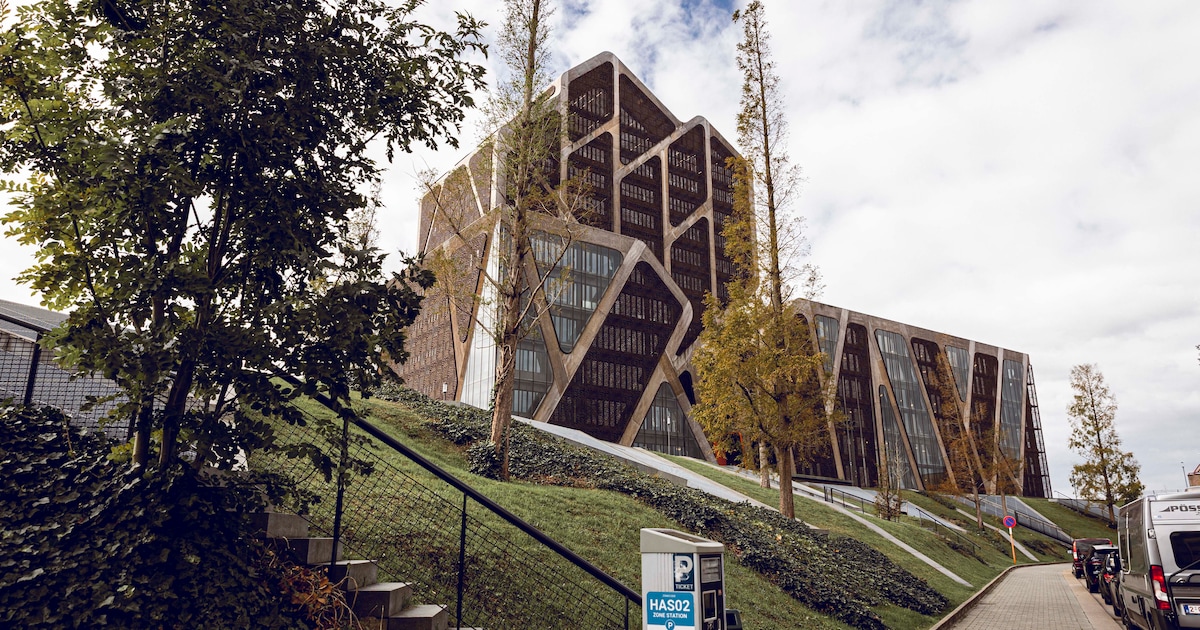 Jongeman betrapt met ‘cleanerspray’ die drugstest kan beïnvloeden: “Zelfs het bijhebben van dit prod