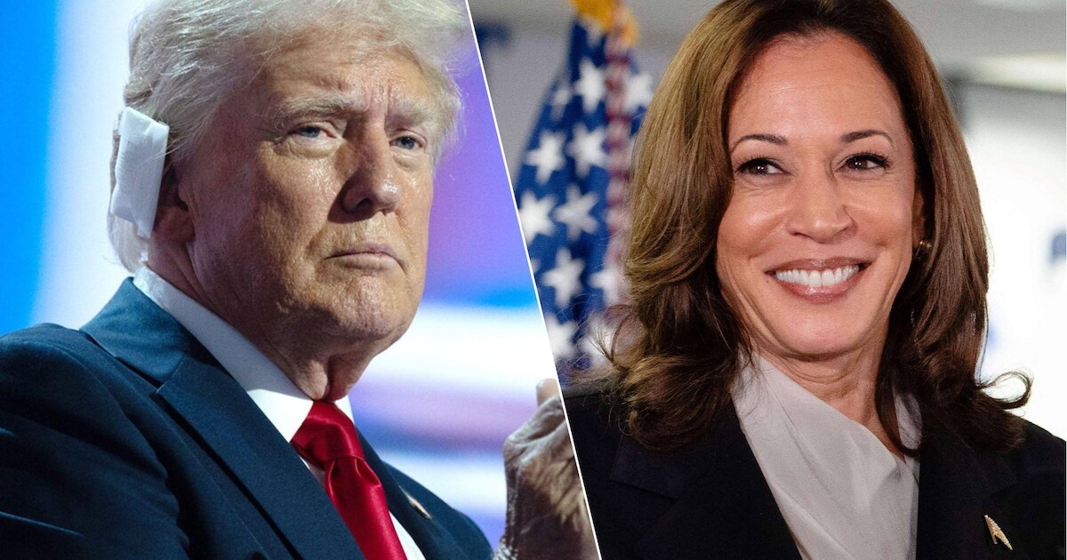 “Wat een slimme investering”: Democraten drijven spot met Trumps ...