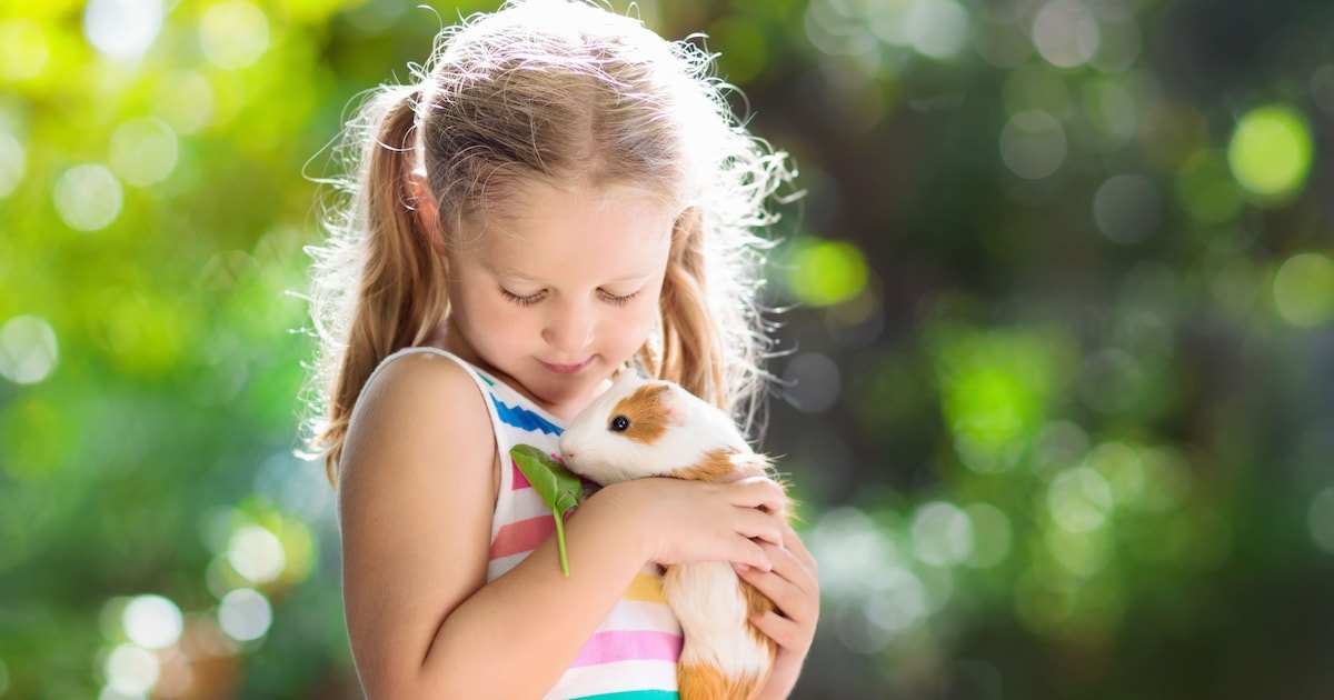 Workshop ‘Word een echte huisdierheld’ leert kinderen in Nieuwpoort alles over dieren