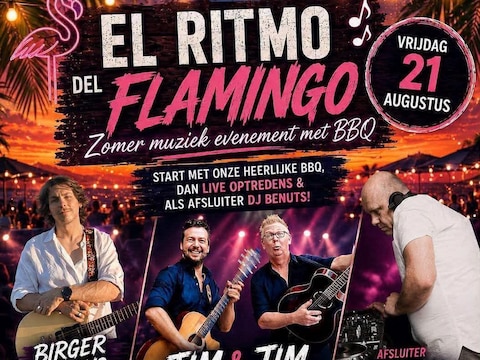 De Flamingo organiseert een zomerfeest.