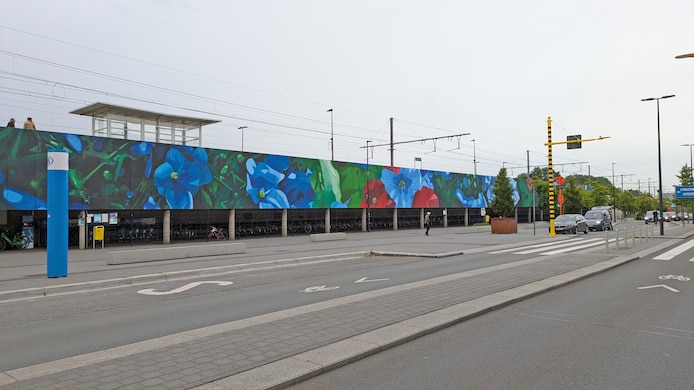 Grijze muur bij station krijgt op slag meer kleur door mural en groene ...