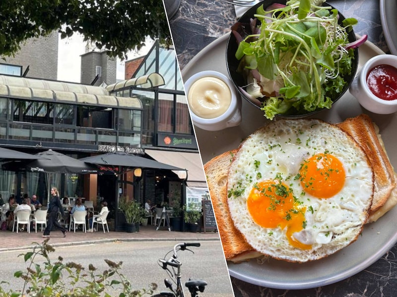 RESTOTIP. Bistro De Swaen in Herentals: ruim terras, Belgische klassiekers en keuken die heel de dag open is