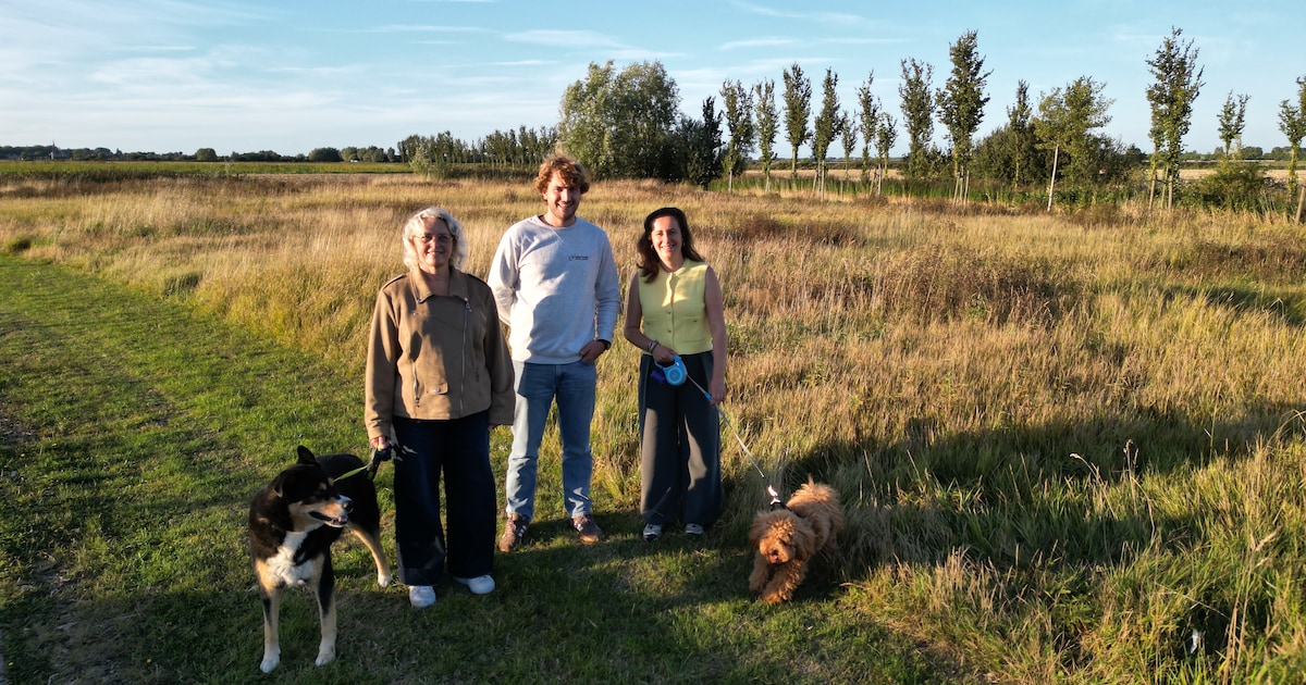 Veurne creëert een groene zee van ruimte voor de loslopende hond ...