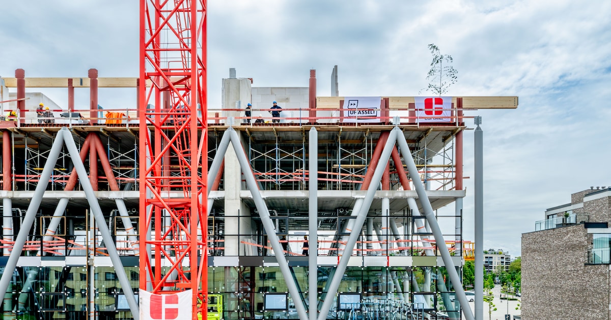 Meiboom markeert hoogste punt van nieuwe UHasselt-campus in Hasselt: “Vanaf december nemen we het ge