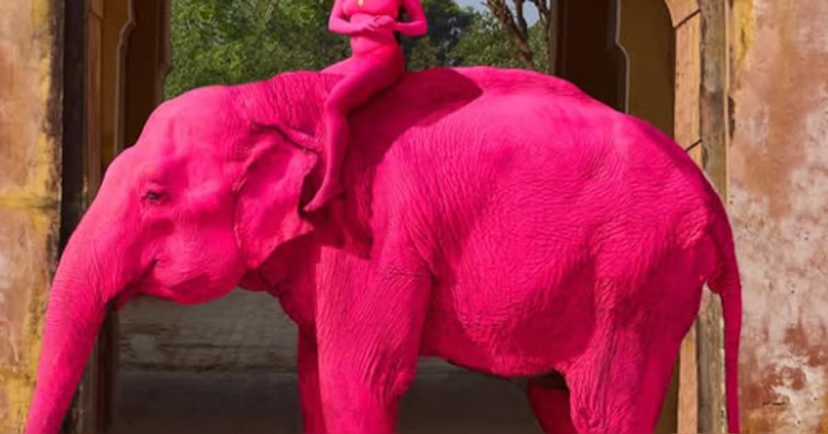 Beelden van roze olifant voor fotoshoot gaan viraal, 65-jarig dier overlijdt enkele maanden later