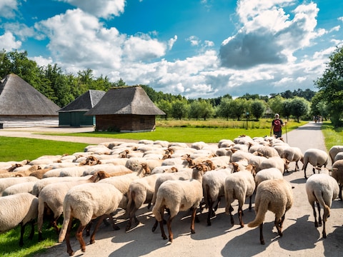 bokrijk sfeerbeelden