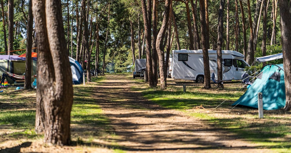 Zilvermeer in Mol zet twee groepen kampeerders buiten na wangedrag: Ze  intimideerden andere gasten | Regio | HLN.be