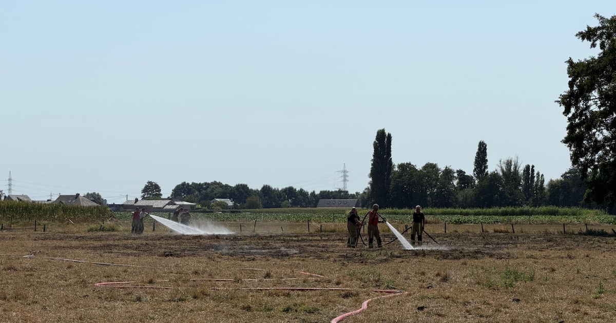 Helikopter merkt smeulende grasvlakte op grens tussen Lendelede en Kuurne op