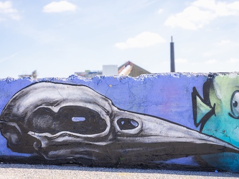 Een vogelschedel in de grindbakken. Is het een ROA?