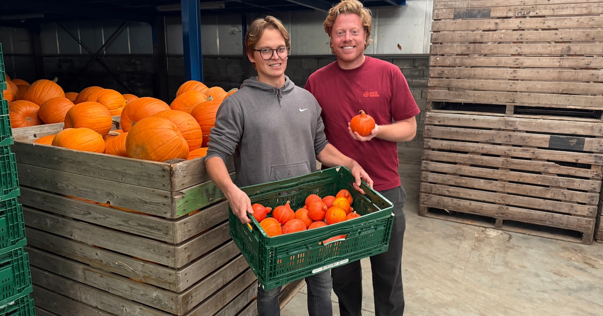 Waste Warriors helpt boer Mathias ‘te kleine’ pompoenen alsnog aan de ...