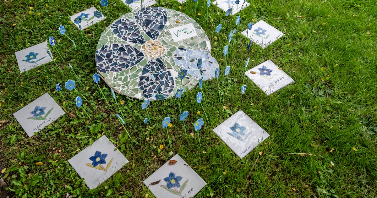 Creatievelingen gezocht om Werelddag Dementie mee in de kijker te zetten