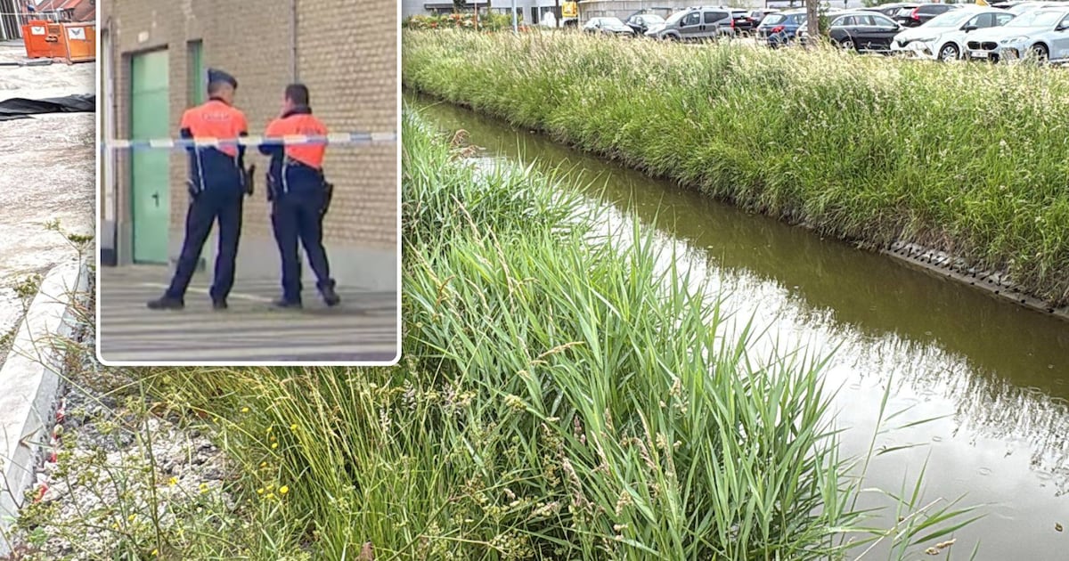 Haar bedje bleek leeg... Hoe meisje (2) geruisloos huis verliet en in beek  verdronk: “'Mama, mama!', hoorde ik” | Regio | HLN.be