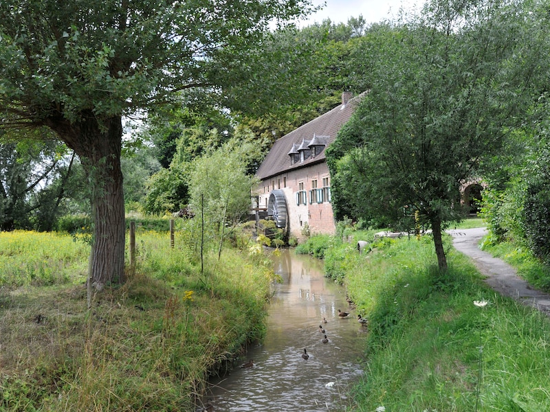 Liermolen in Grimbergen na bijna twee jaar restauratie klaar: “Een van de meest waardevolle erfgoedsites krijgt weer een toekomst”