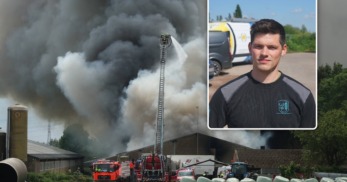 Landbouwersfamilie De Roover ziet 3.000 biggen sterven in stalbrand: “Verschrikkelijk dat we niks ko