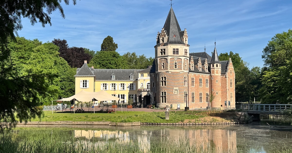 Schatten van 'Vlieg' strijken deze zomer neer in Domein de Renesse