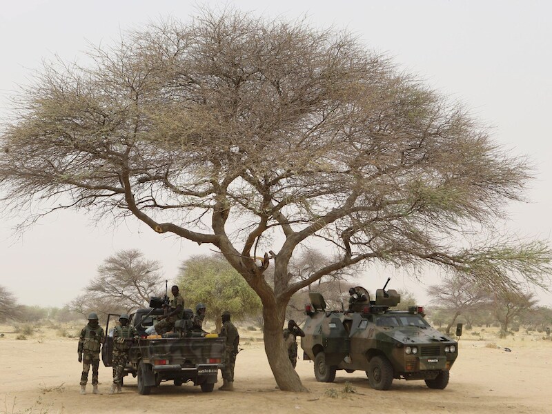 Het Nigeriaans leger is voorbereid om te vechten tegen Boko Haram