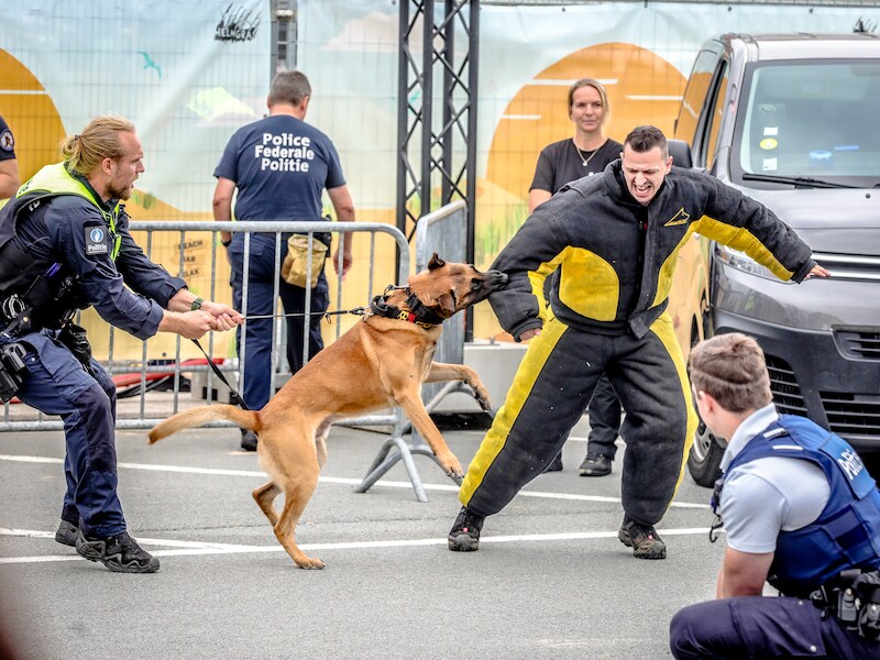 Politiehonden geven demo in Koksijde