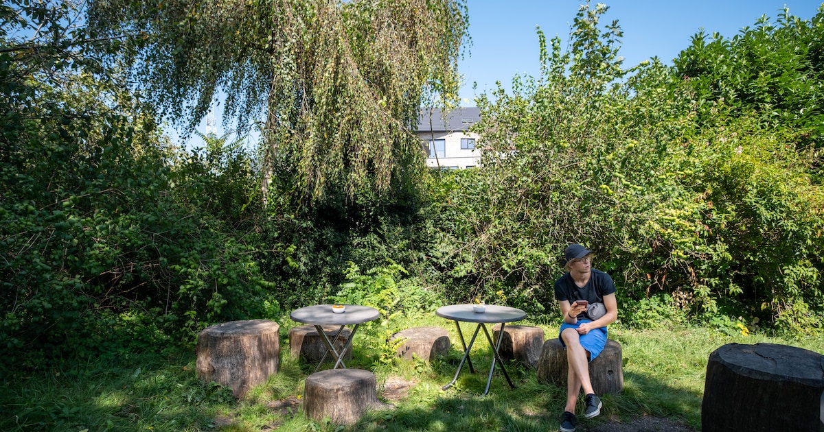 Nieuw wandelpad maakt stukje Caputsteenpark toegankelijker: “Mijn buurman geraakte er niet”