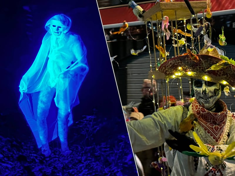 Wij lijsten een aantal activiteiten op om er een geslaagde Halloween van te maken.