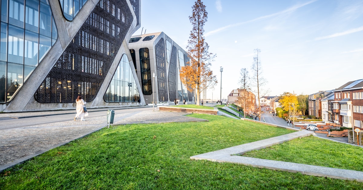 Pakjesbezorger vliegt 175 km/u op E313 en test positief op drugs: “Ik wou niet rijden, maar mijn vri