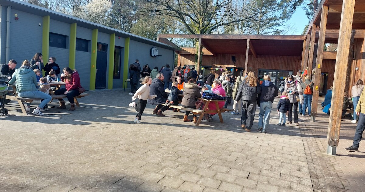 Basischool 3D kijkt positief naar minimumdoelen voor basisonderwijs ...