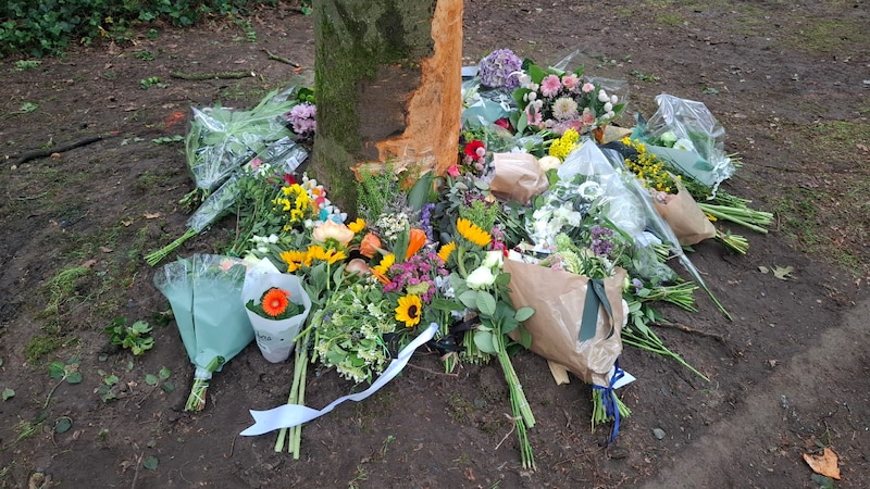 Bij de boom waartegen de tieners vrijdagnacht botsten, was zondag een mooi eerbetoon te zien. Heel wat mensen legden er bloemen neer.