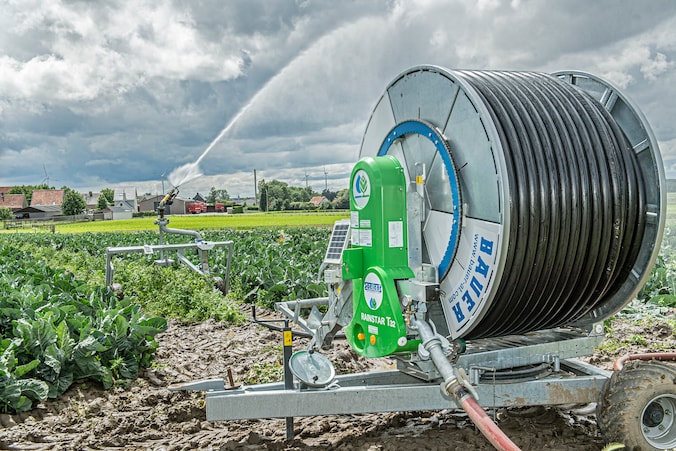 Een landbouwer geeft zijn bloemkolen water.