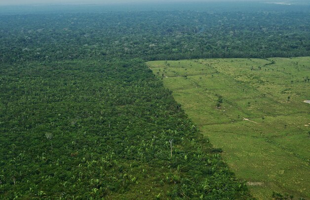 Ontbossing van de Amazone.