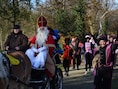 Sinterklaas meert op 21 november aan in Zelzate