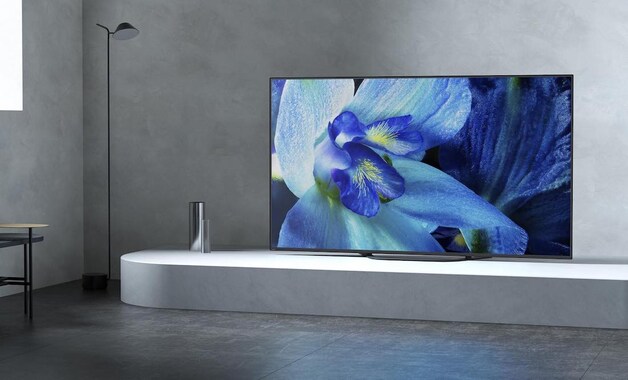 Sony AG8