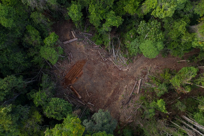 Archiefbeeld. In de eerste vier maanden van dit jaar is in Brazilië 55 procent meer bos illegaal omgehakt dan in dezelfde periode vorig jaar. 