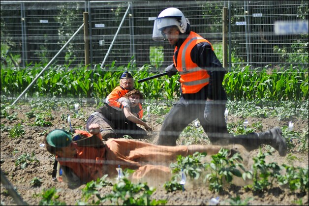 Wetteren, zondag 29 mei 2011.